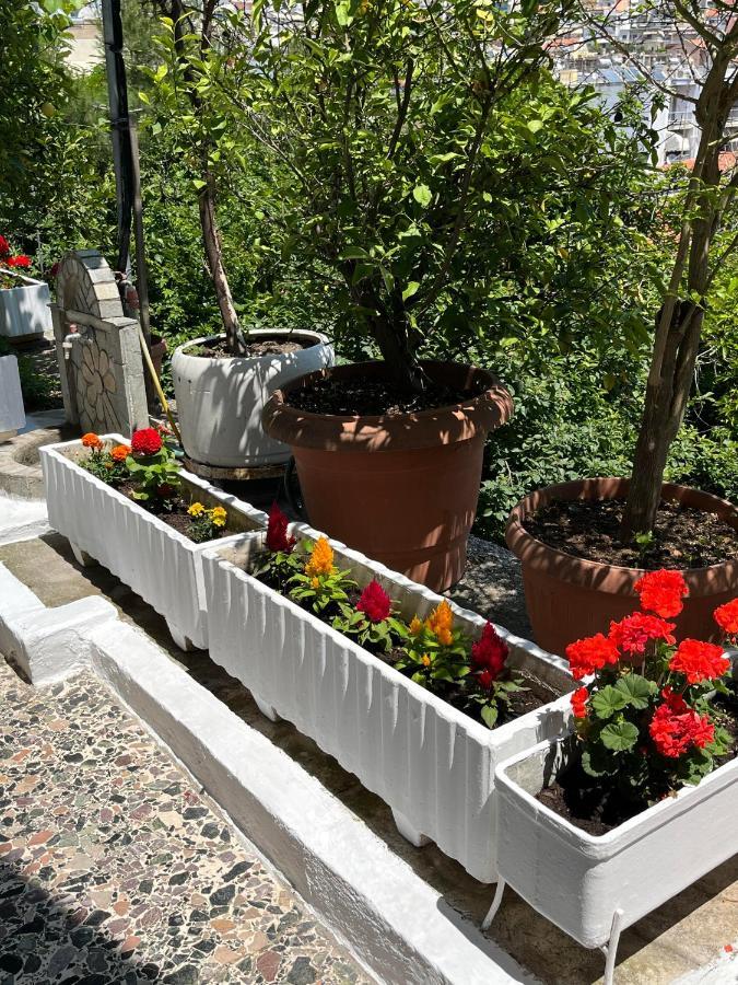 カヴァラ Vasilis Garden Houseヴィラ エクステリア 写真