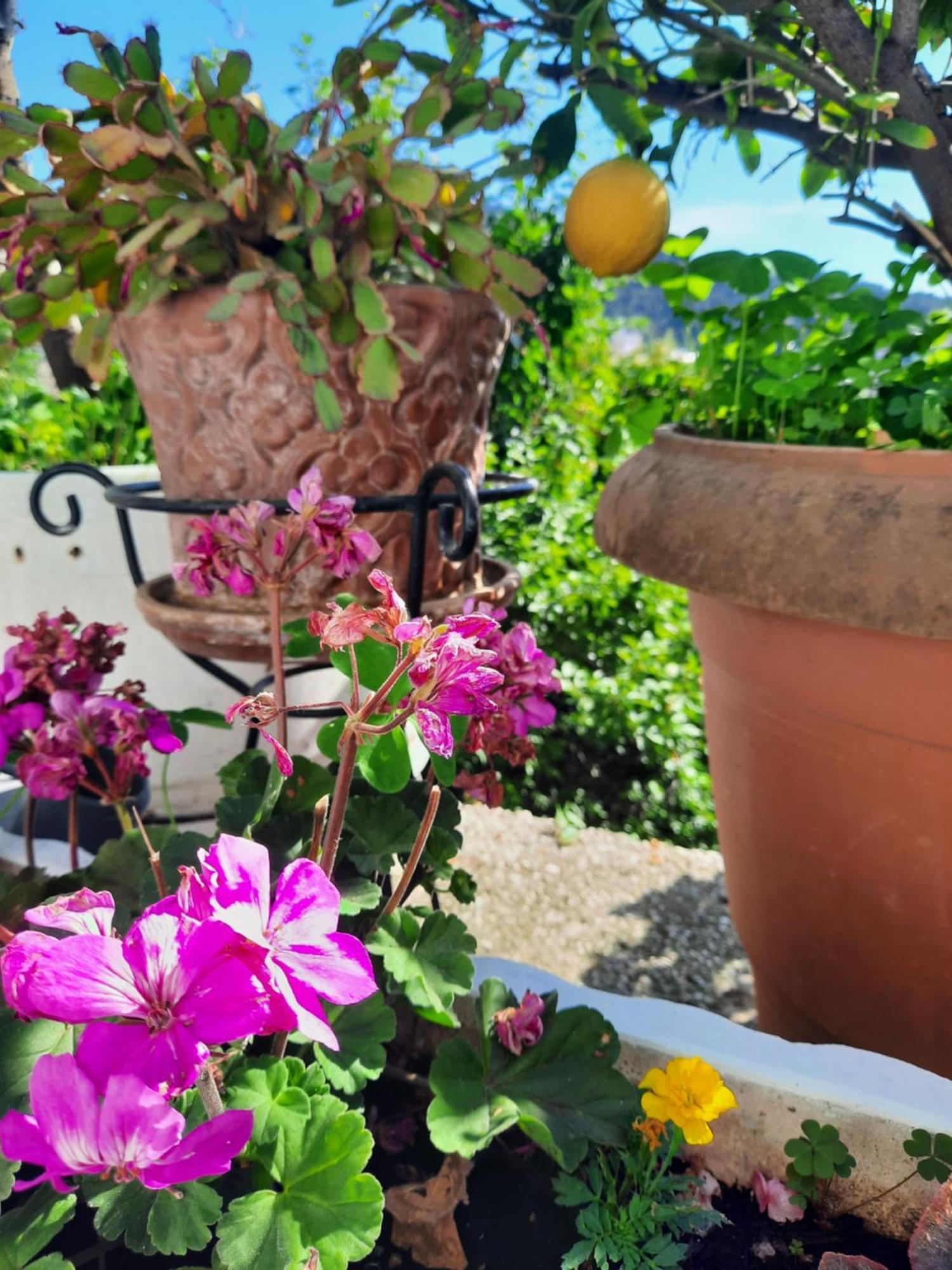 カヴァラ Vasilis Garden Houseヴィラ エクステリア 写真