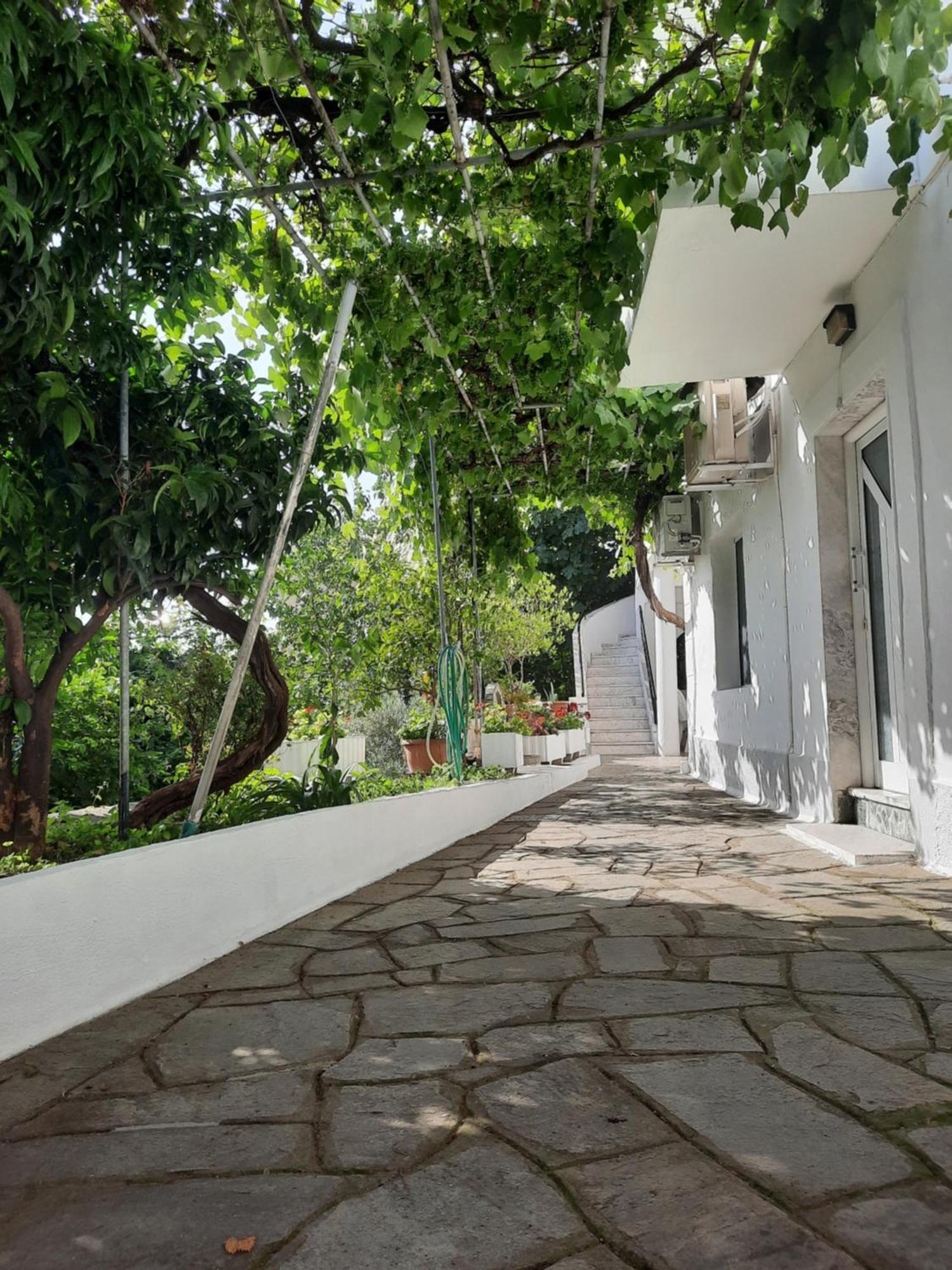カヴァラ Vasilis Garden Houseヴィラ エクステリア 写真