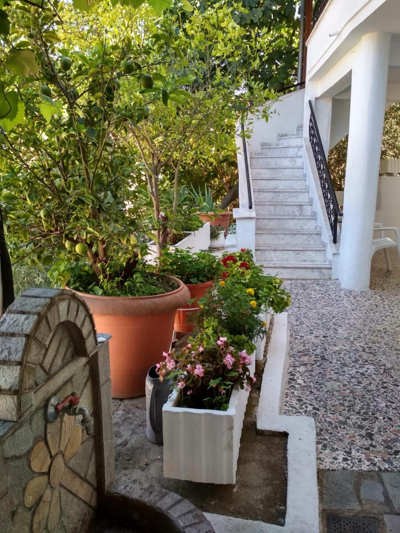 カヴァラ Vasilis Garden Houseヴィラ エクステリア 写真